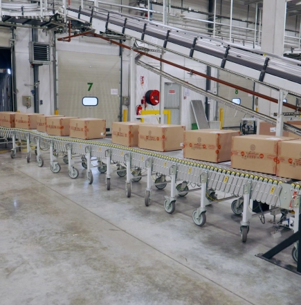 Flexible Conveyor industry insight