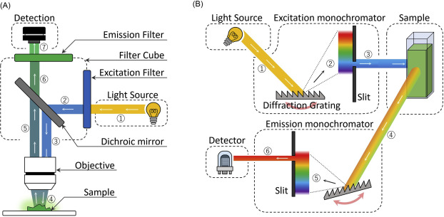 Fluorescence Microscope industry insight