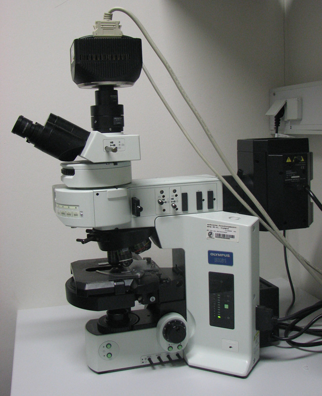 Fluorescence Microscopes