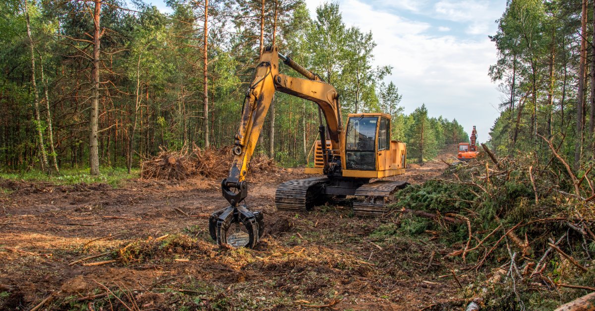 Forestry & Logging Equipment