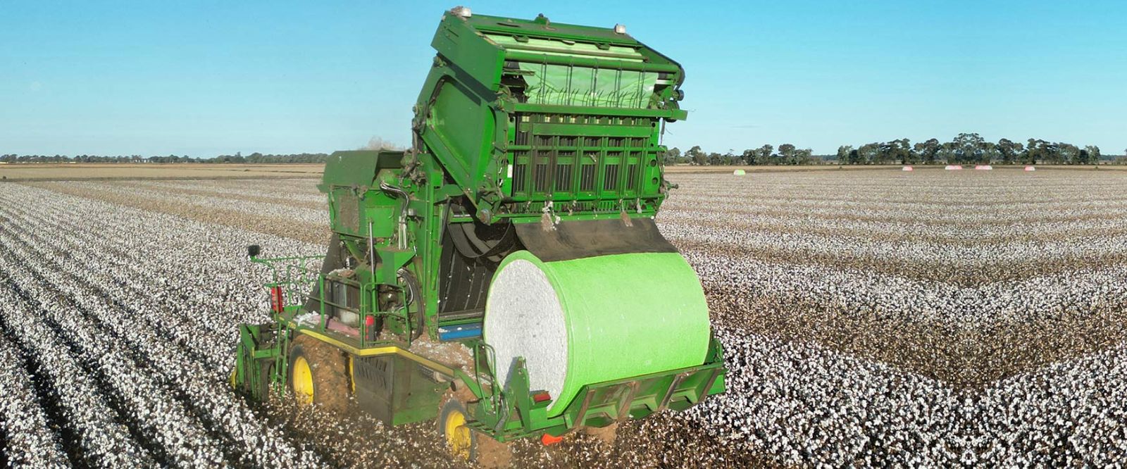 From Field to Fabric