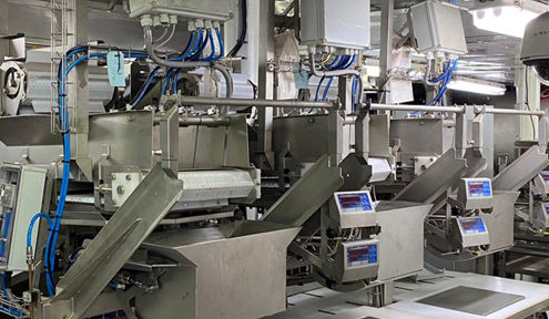 Frozen Krill industry insight