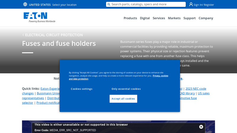 Fuses and fuse holders