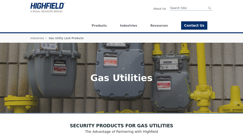Gas Meter Locks for Safety & Security