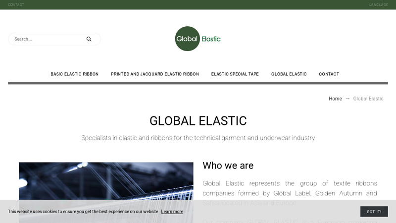 Global Elastic