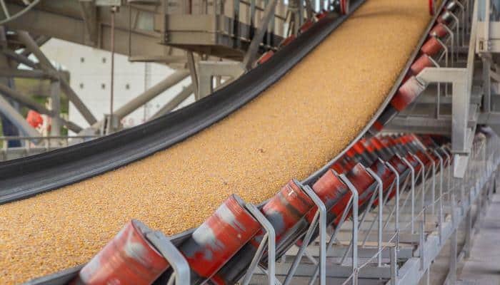 Grain Conveyors industry insight