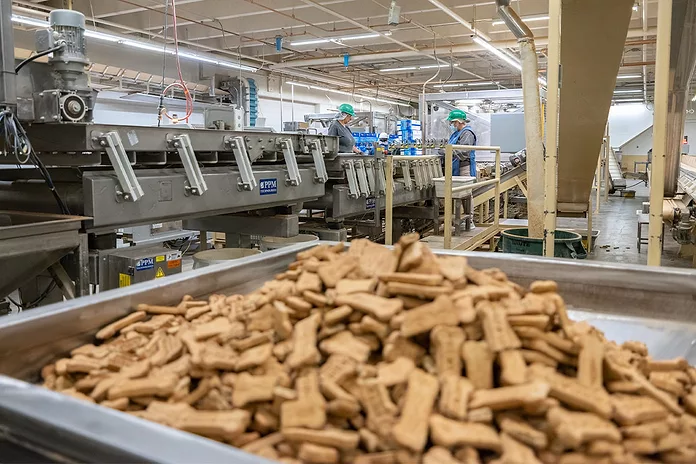 Gurney For Dogs industry insight