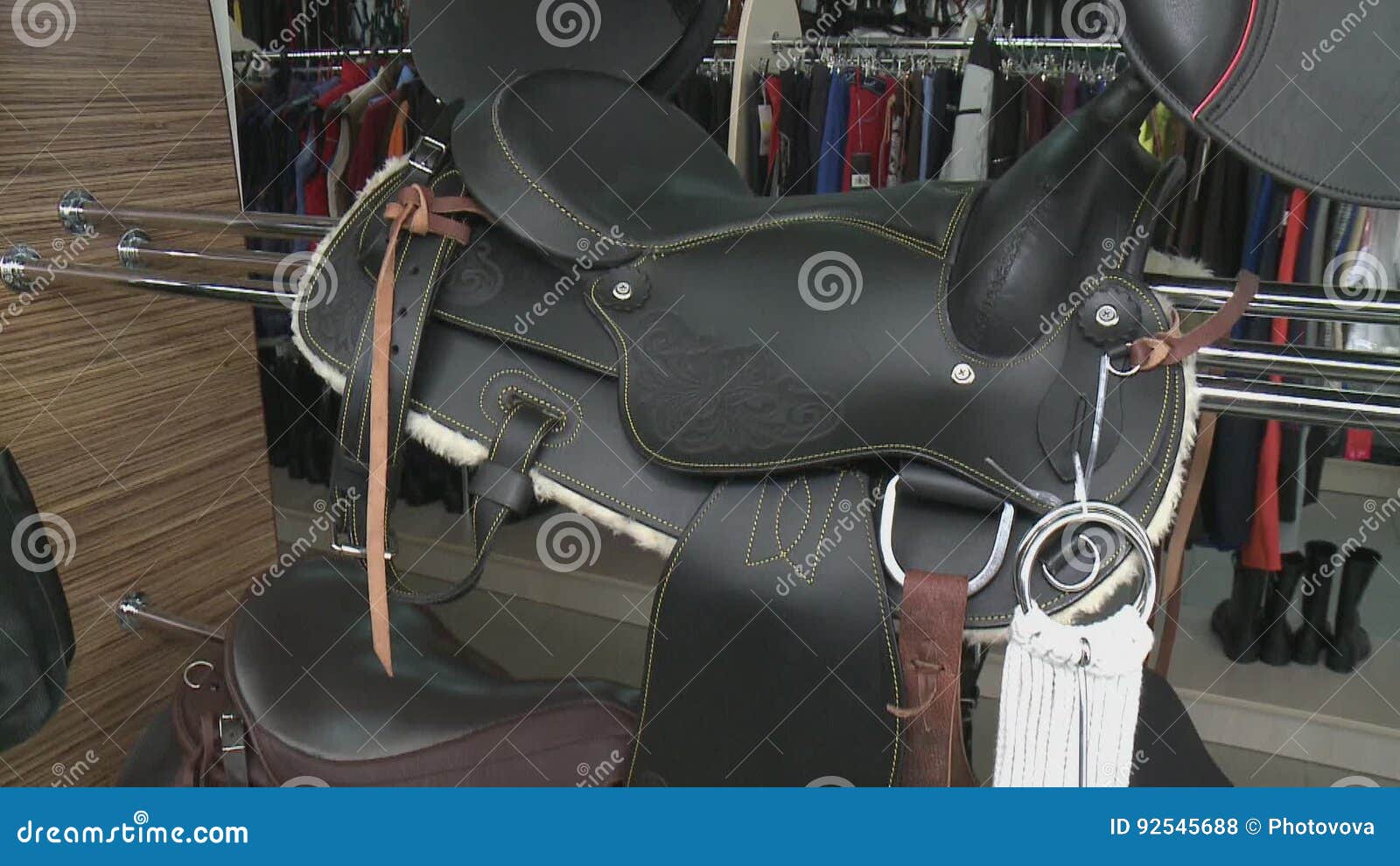 Harness Horse Racing Equipment industry insight