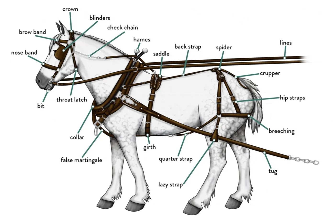 Harness Horse Racing Equipment industry insight