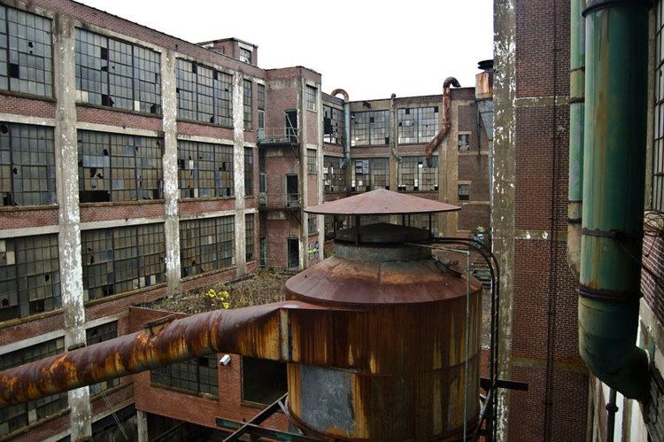 Heddle industry insight