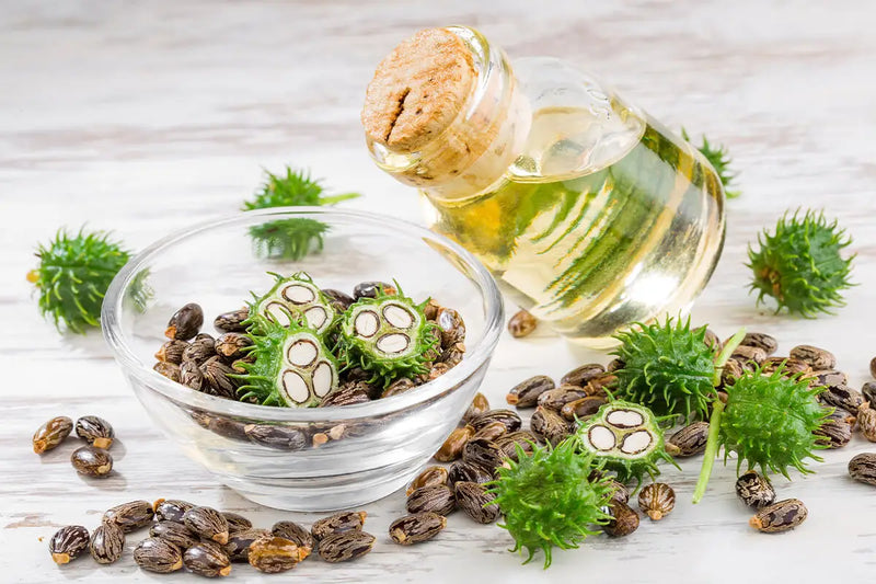 Hexane Free Organic And Cold Pressed Castor Oil industry insight