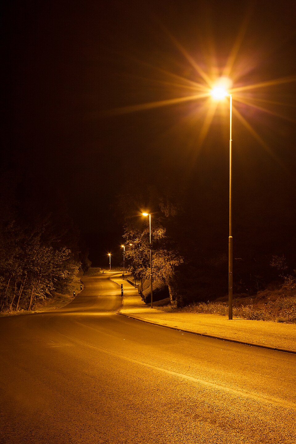 High Pressure Sodium Vapor Lights industry insight