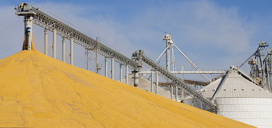 High-Quality Grain Elevators, Conveyors