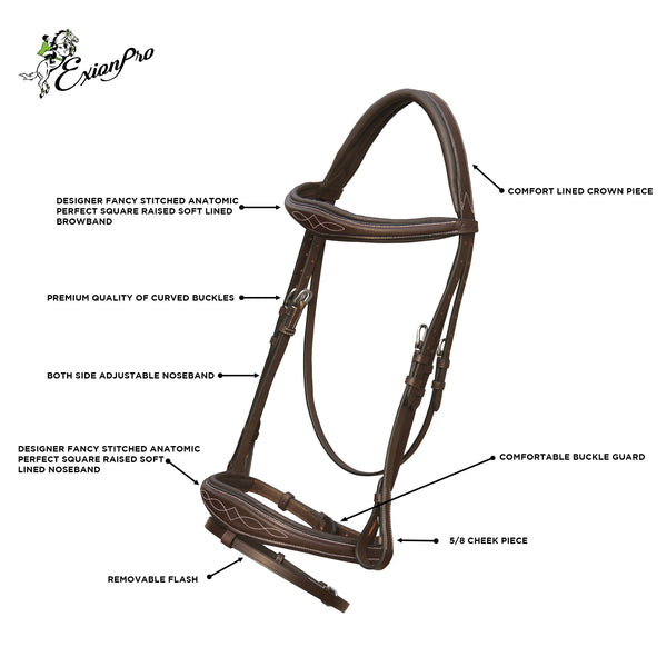 Horse: Bridle and Bits