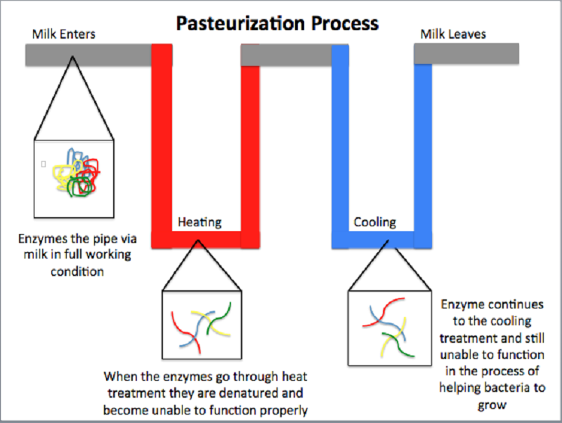 Htst Pasteurisation industry insight