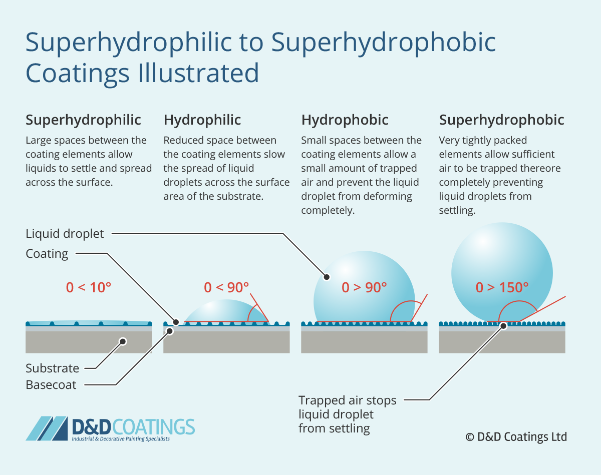 Hydrophobic Auto Coating industry insight