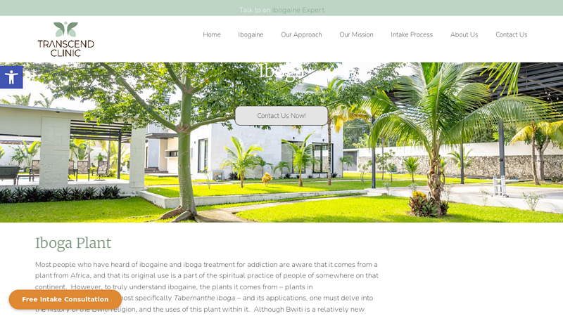 Iboga Plant