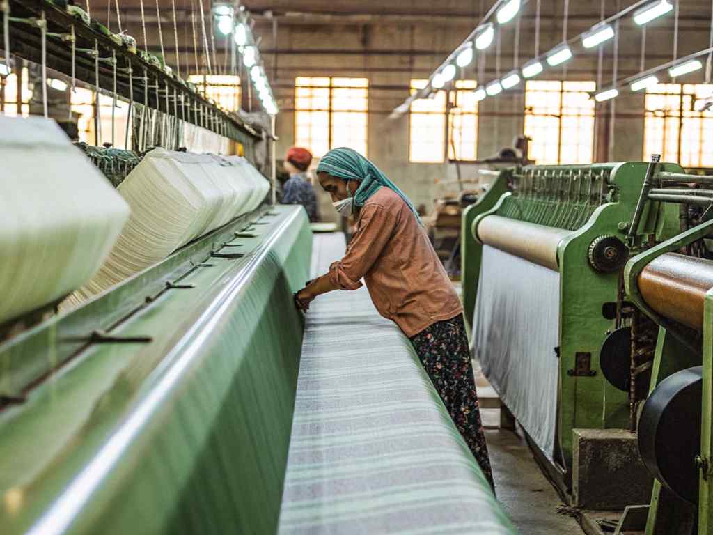 Indian Cotton Fabric industry insight