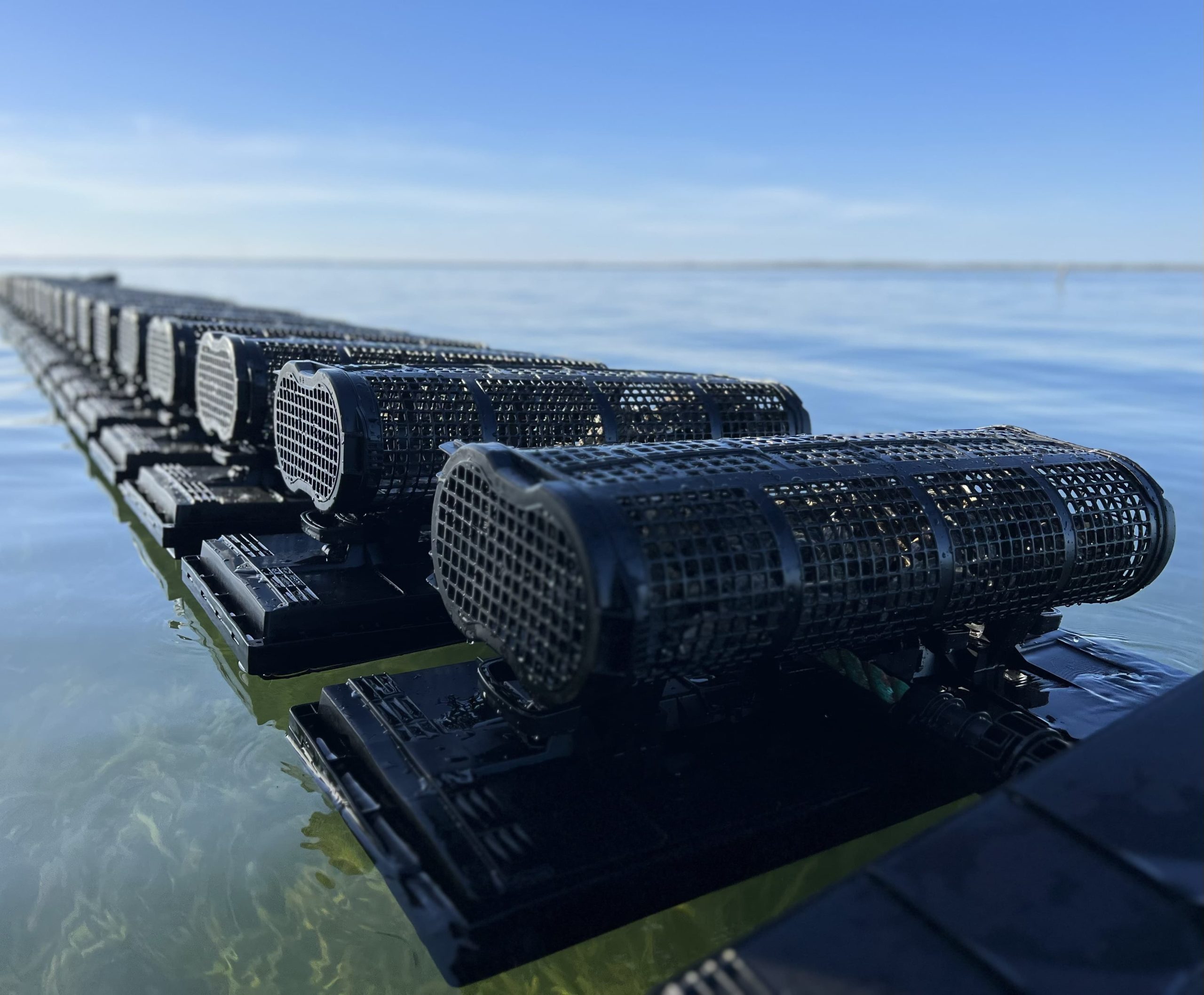 Innovative Floating Oyster Farming Systems