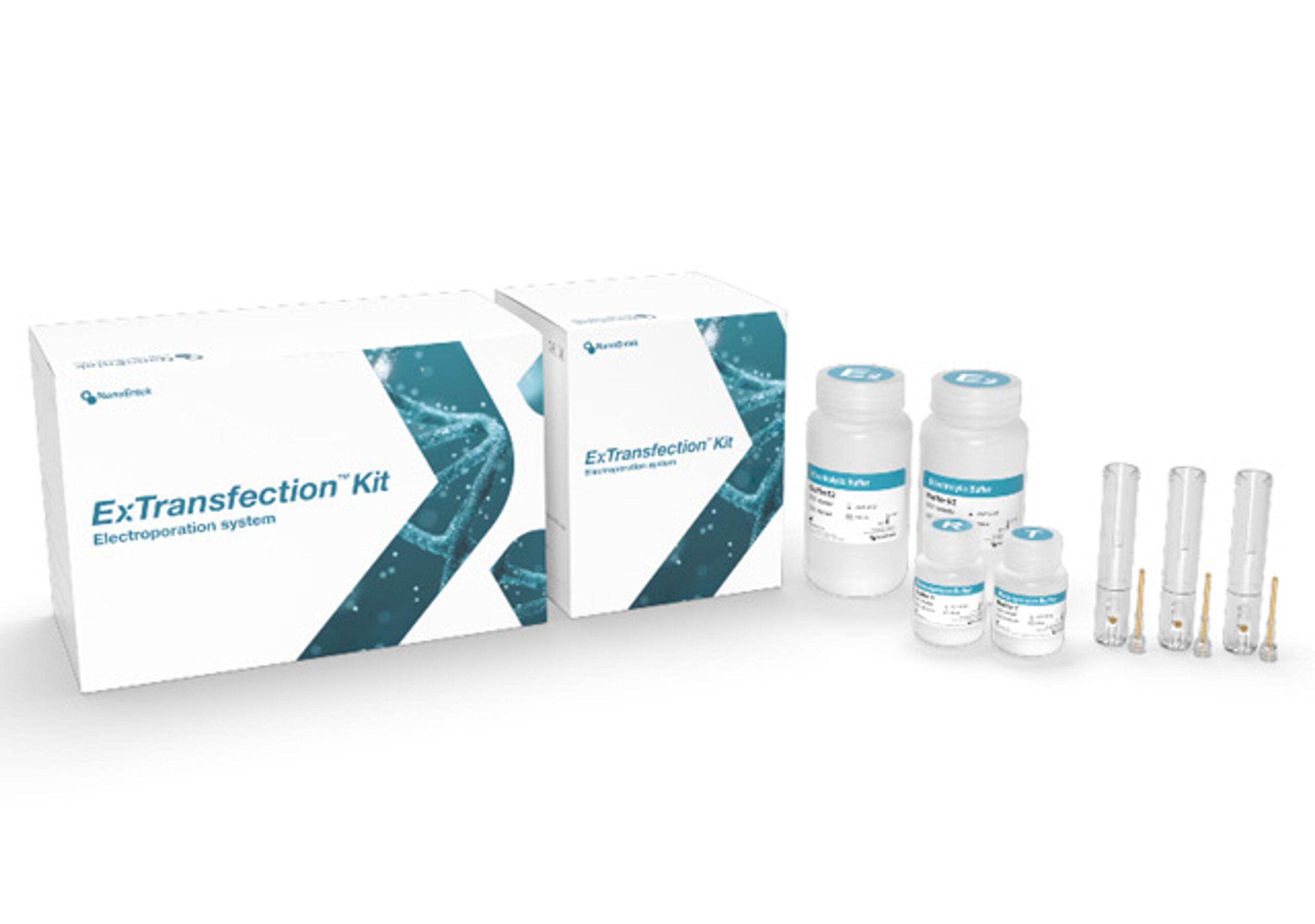 InviScreen® Norovirus Detection Kit