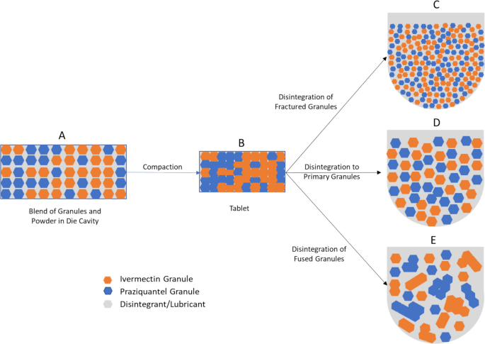 Ivermectin Praziquantel industry insight