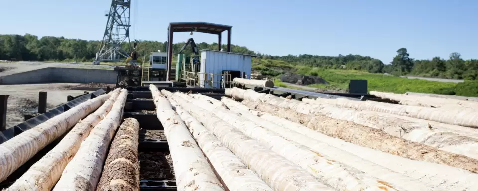 Jasper Lumber Company Inc industry insight