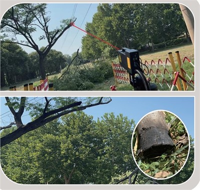 Laser Canon Tree Cutter industry insight