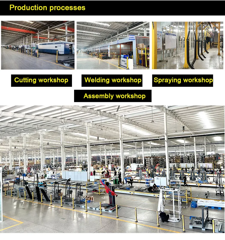 Lat Raise Machine industry insight