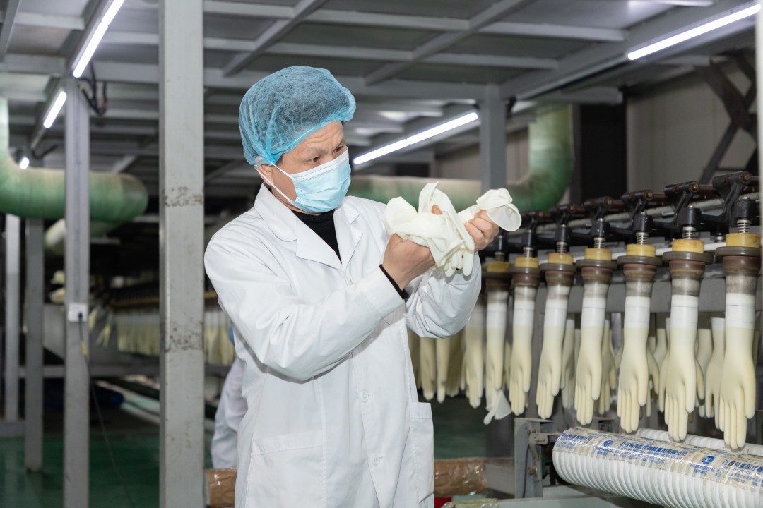Latex Exam Gloves industry insight