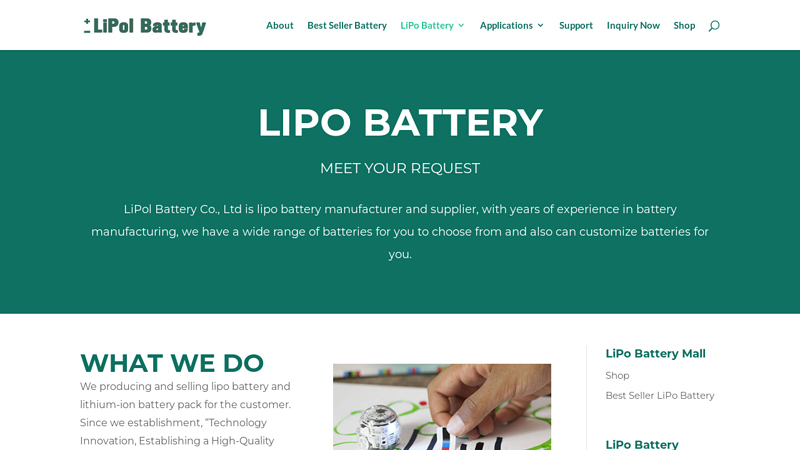 LiPo Battery