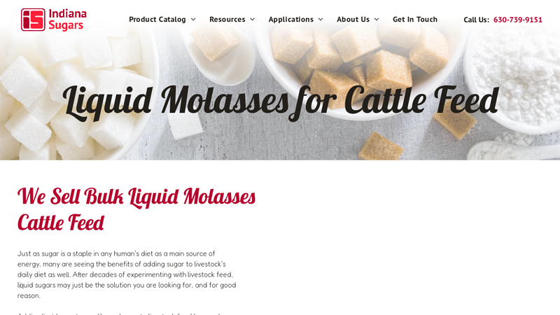 Liquid Molasses for Cattle Feed