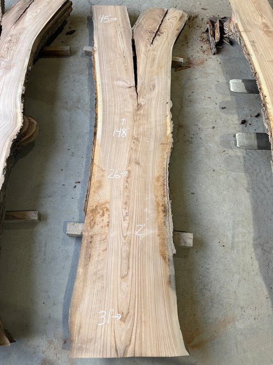 Live Edge Elm Slabs, Elm Wood Slabs With Live Edge, Kiln Dried