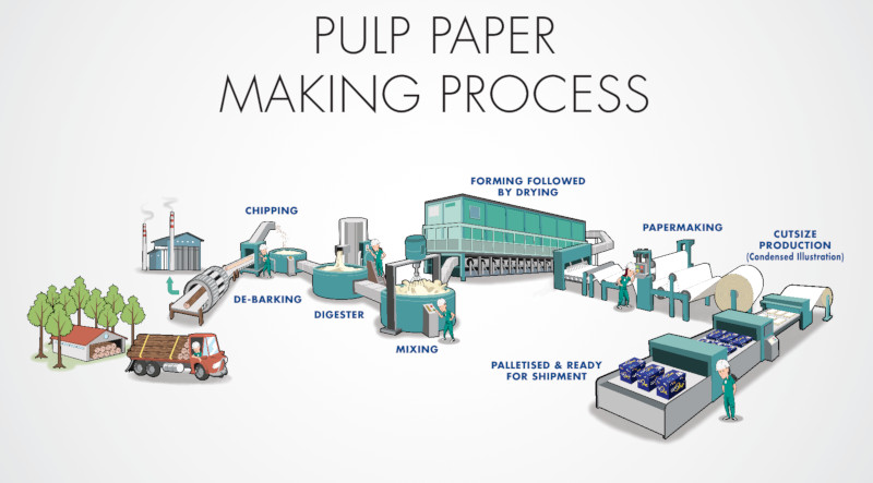 Magazine Paper Material industry insight
