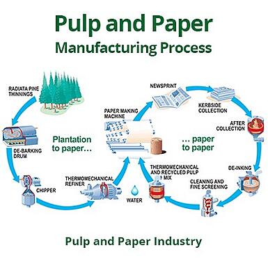 Magazine Paper Material industry insight