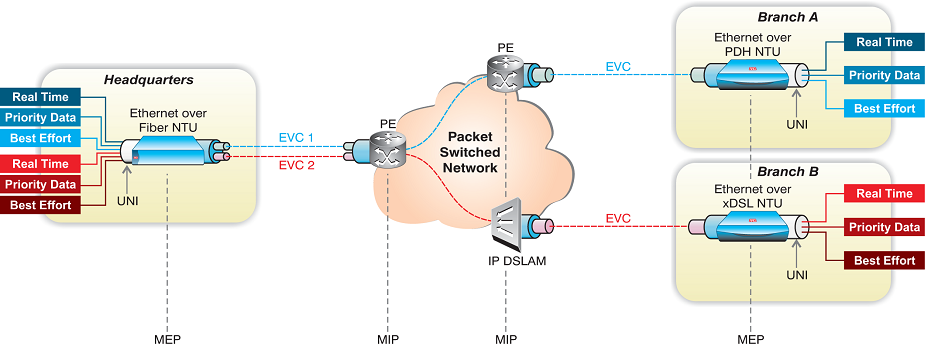 Managing Carrier Ethernet Service Lifecycle White Paper