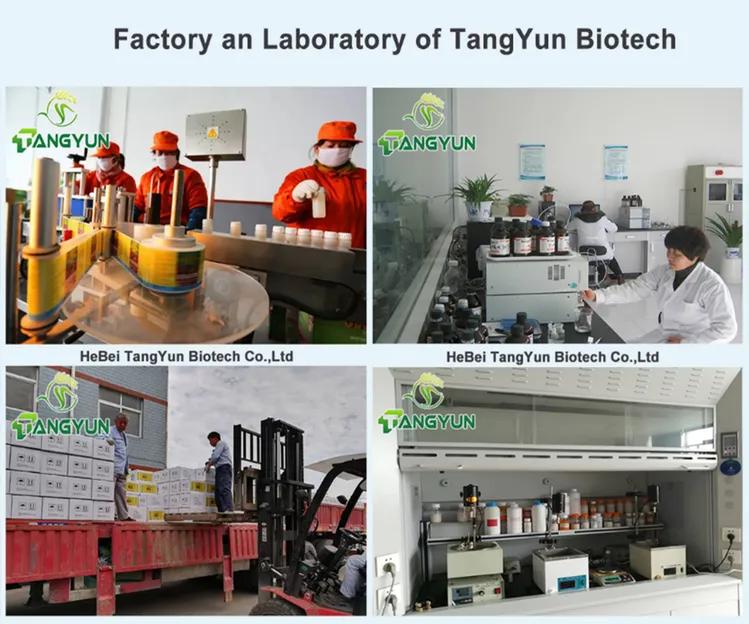 Metolachlor Herbicide industry insight
