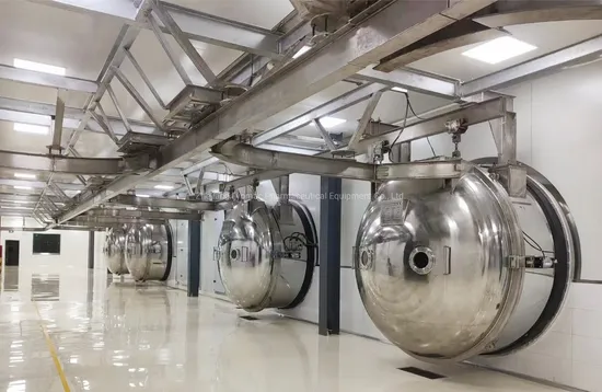 Mini Freeze Dryer industry insight