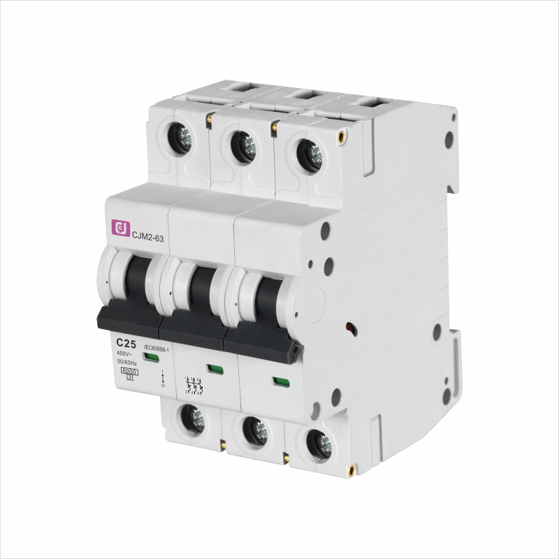 Miniature Circuit Breakers (MCBs)