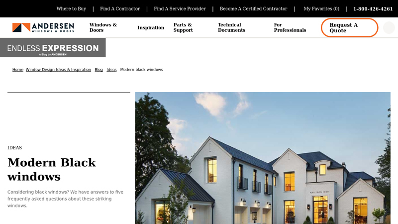 Modern black windows