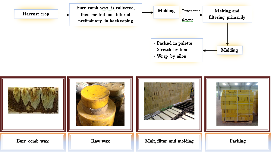 Molding Beeswax industry insight
