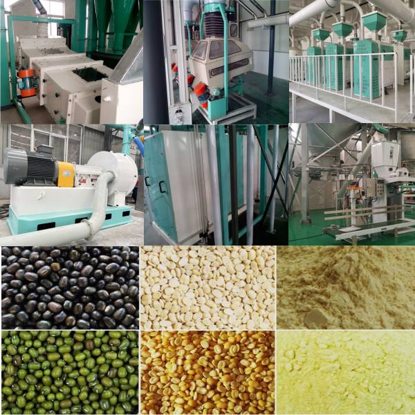Mong Beans industry insight