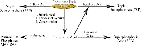 Monosodium Phosphate industry insight
