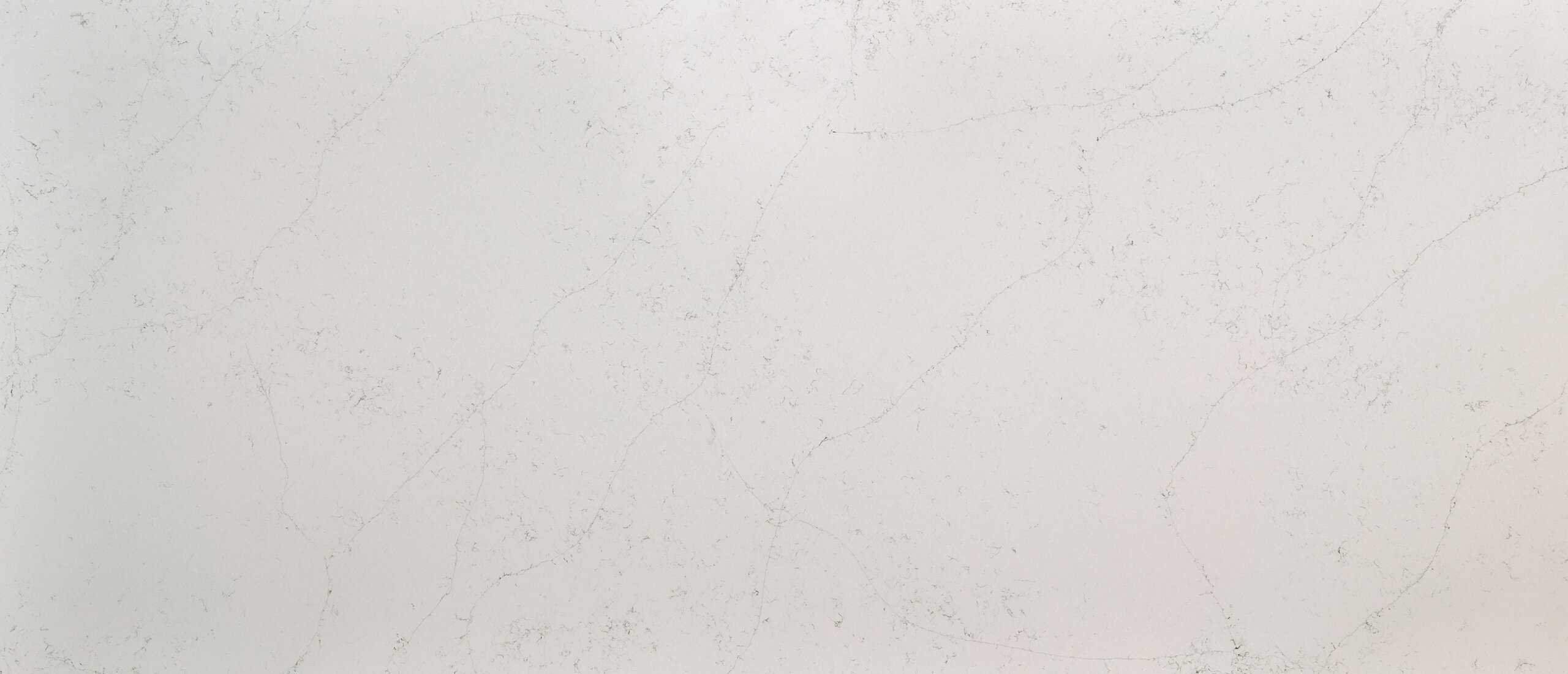 MSI Calacatta Botanica Countertop Slab, 2cm Thickness