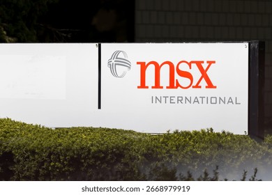 MSX International