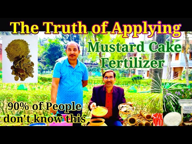 Mustard Cake Fertilizer industry insight