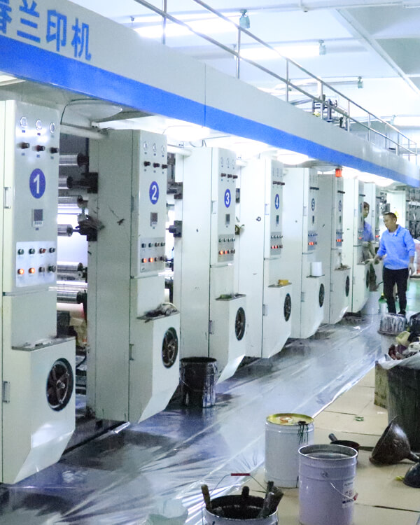 Mylar Bag Printing Machine industry insight