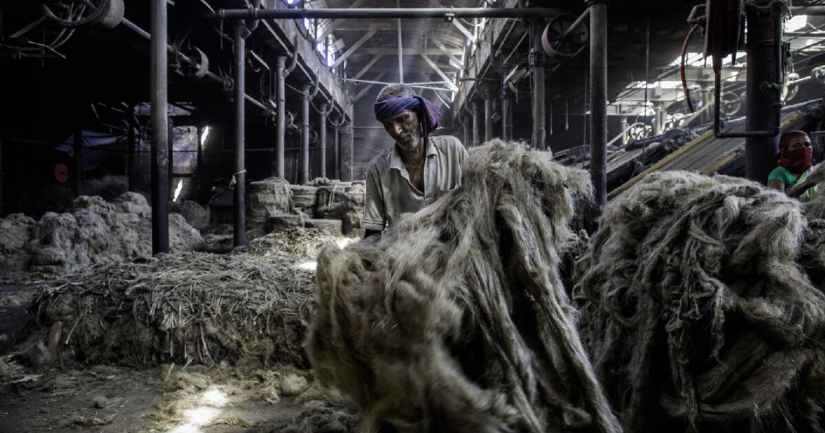 National Jute Manufactures Corporation Limited