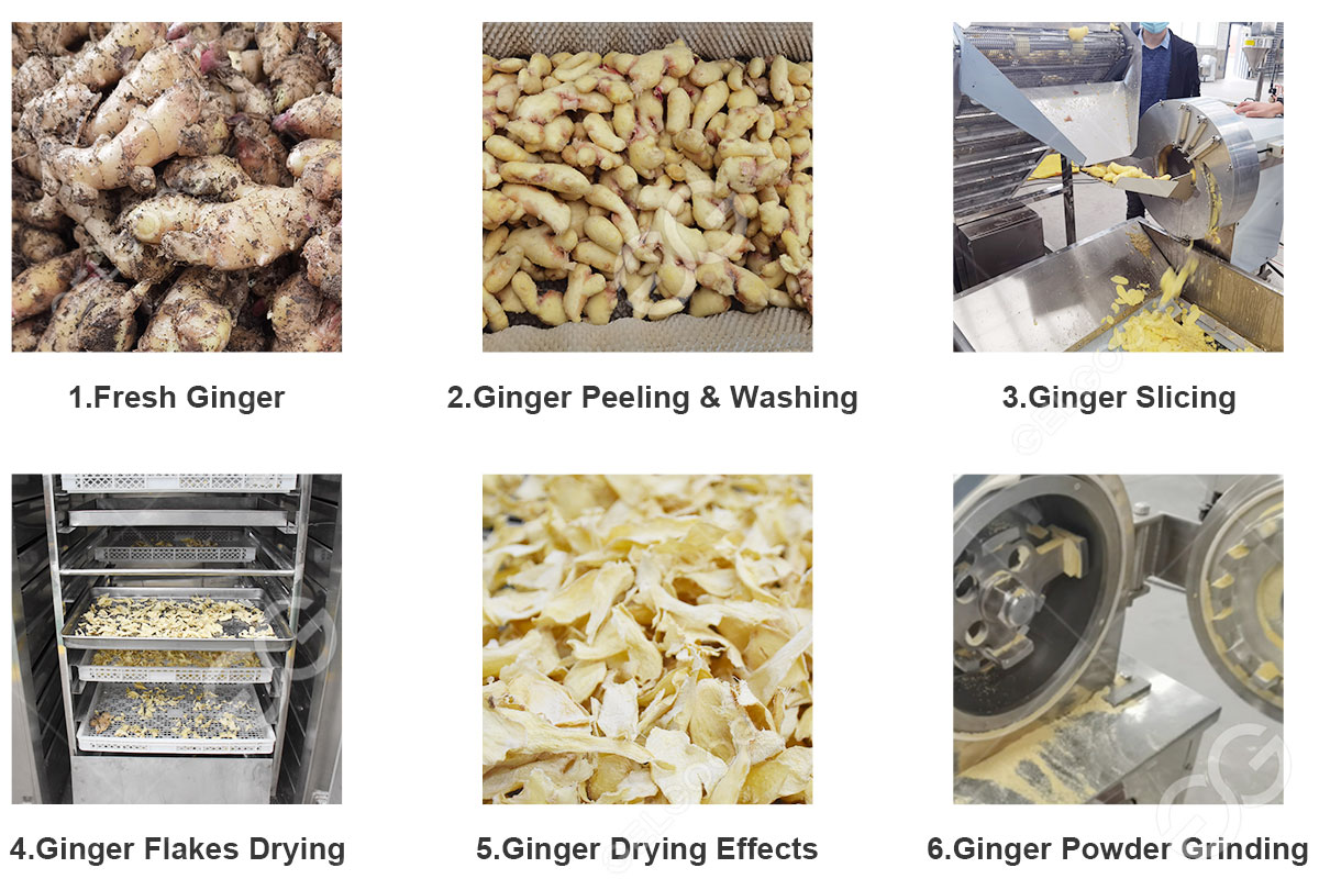 Natural Ginger Flavoring industry insight