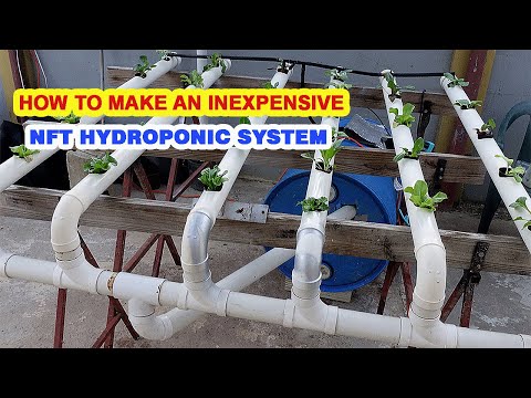 NFT PVC hydroponic system Company