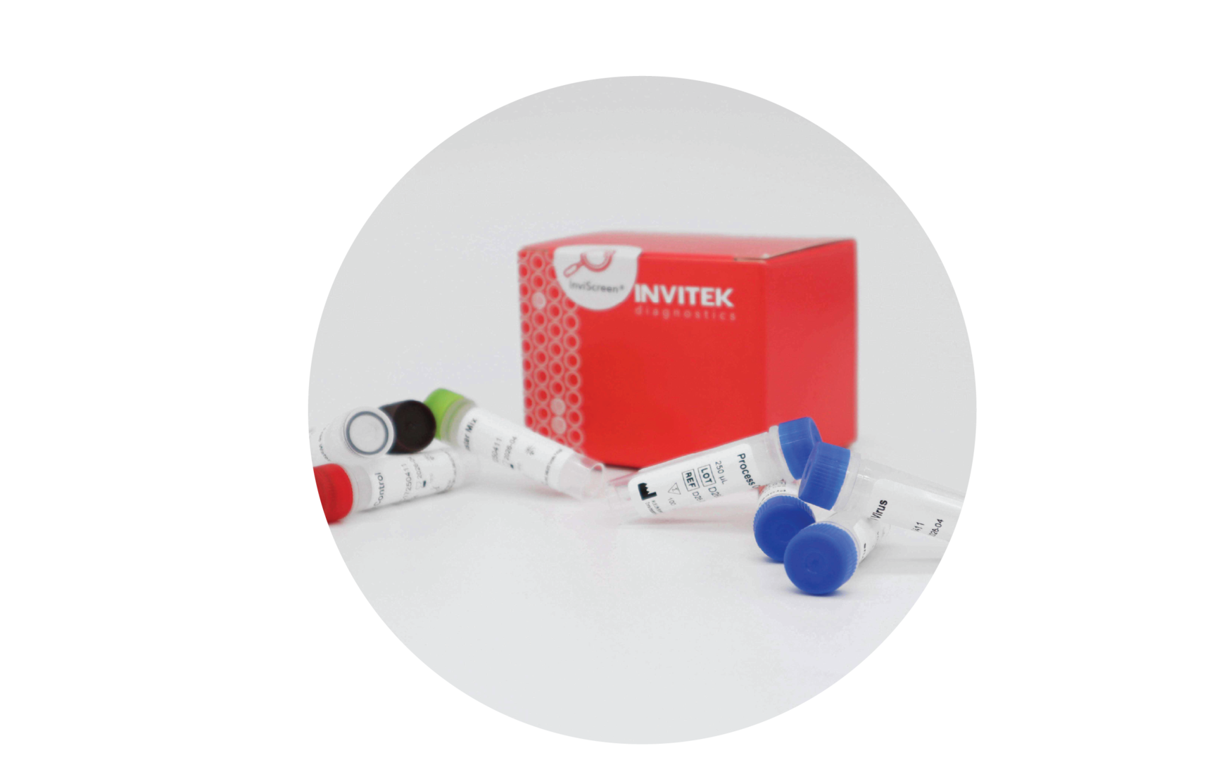 Norovirus Test Kit industry insight